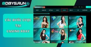 Hướng Dẫn Chơi Casino 8DAY